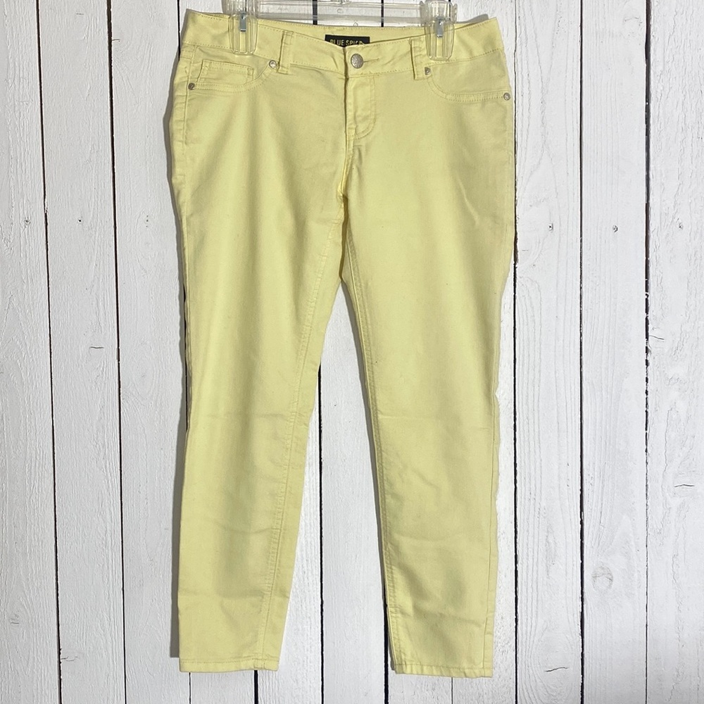 Blue Spice Pants